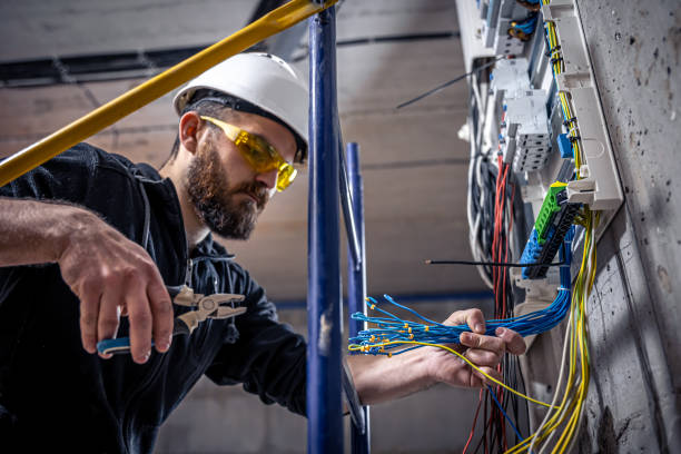 Best Generator Installation Services  in Chena Ridge, AK